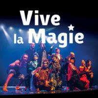Festival international Vive la Magie. Le samedi 12 octobre 2024 à Bonchamp-lès-Laval. Mayenne.  17H00